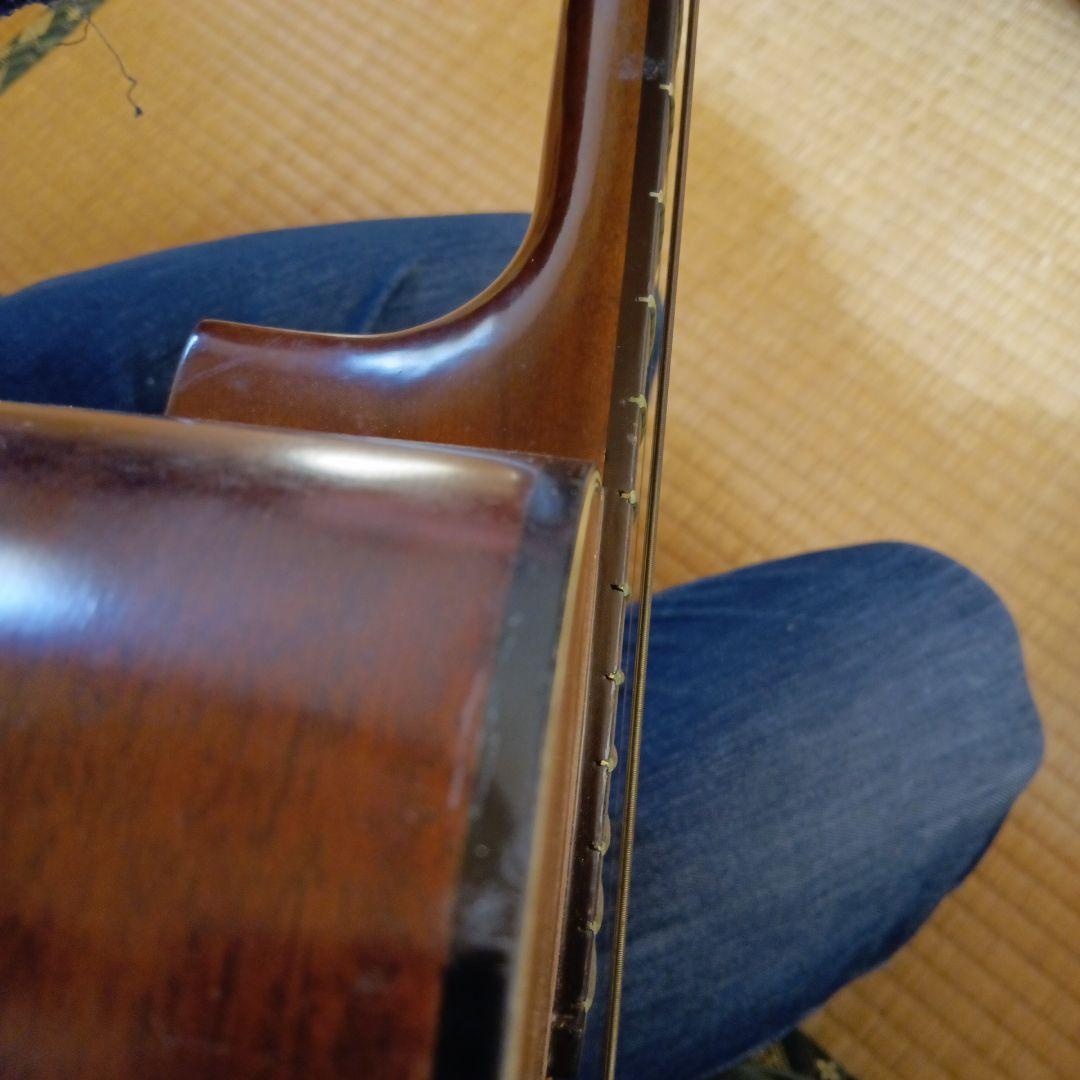 Maruha F212 ビンテージアコースティックギター