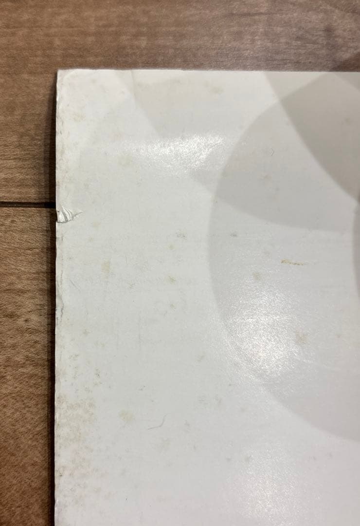 LUNA SEA エクスタシーレコーズ　インディーズ時代のポスター