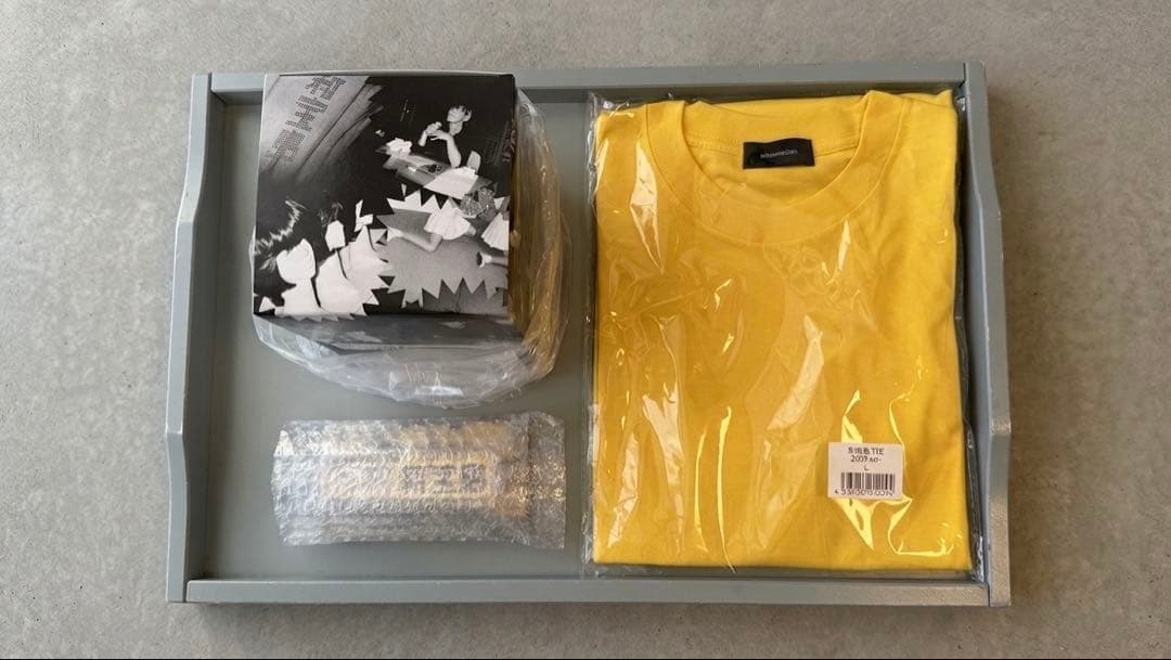 【完品・新品】新宝島サカナクションスノードーム キーホルダー Tシャツ（L）