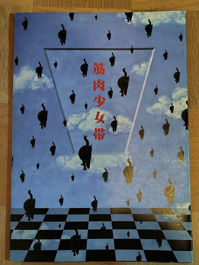 筋肉少女帯 ツアーパンフ5冊＋雑誌2冊＋チラシ