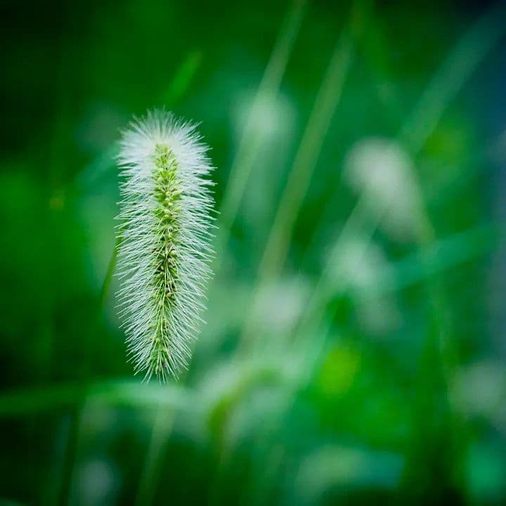 単焦点ニッコール28mmf3.5＆55mmf3.5マイクロ+ニコマートFTN