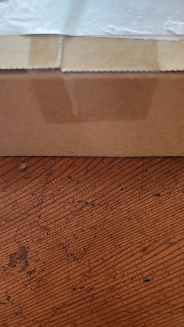 スタートデッキ100バイトコレクション2個入