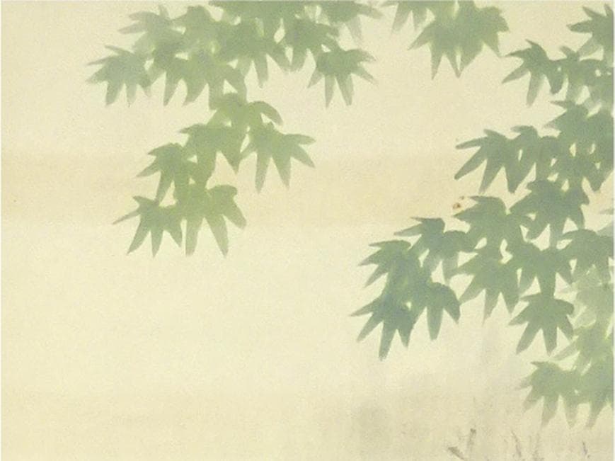 掛軸 仙崖『鯉図』紙本 肉筆 共箱付 掛け軸 a052618