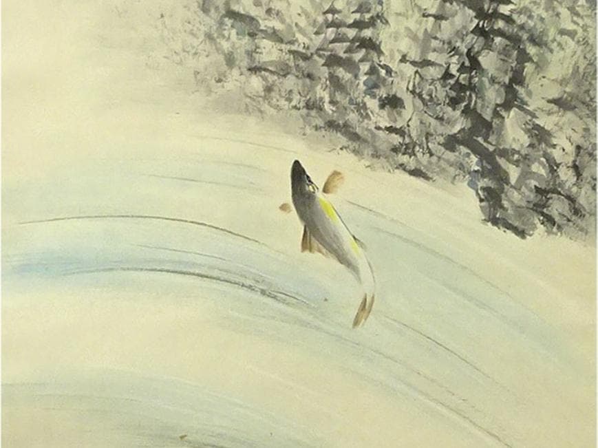 掛軸 仙崖『鯉図』紙本 肉筆 共箱付 掛け軸 a052618