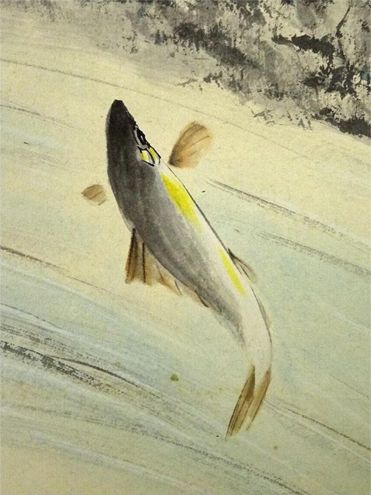 掛軸 仙崖『鯉図』紙本 肉筆 共箱付 掛け軸 a052618