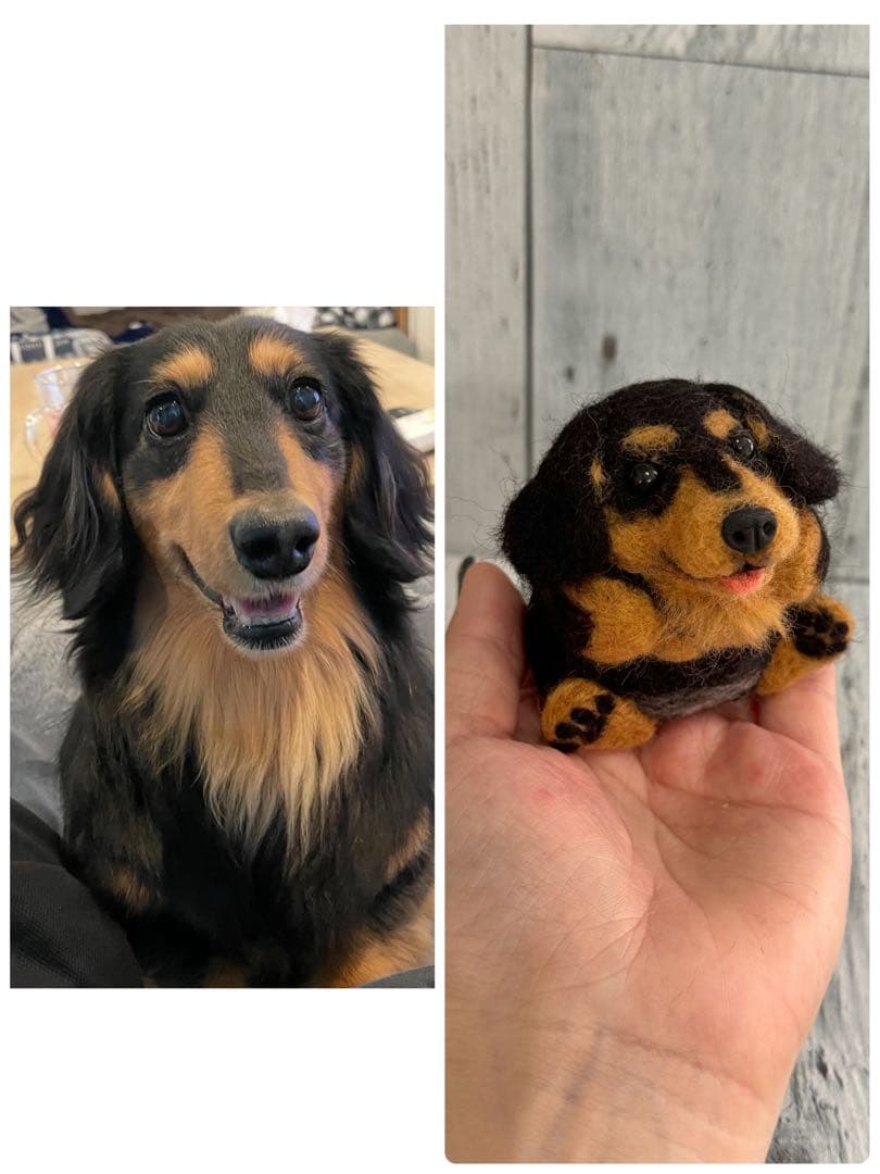 うちの子　まんまるあにまるず　羊毛フェルト　マスコット　ペット　プレゼント