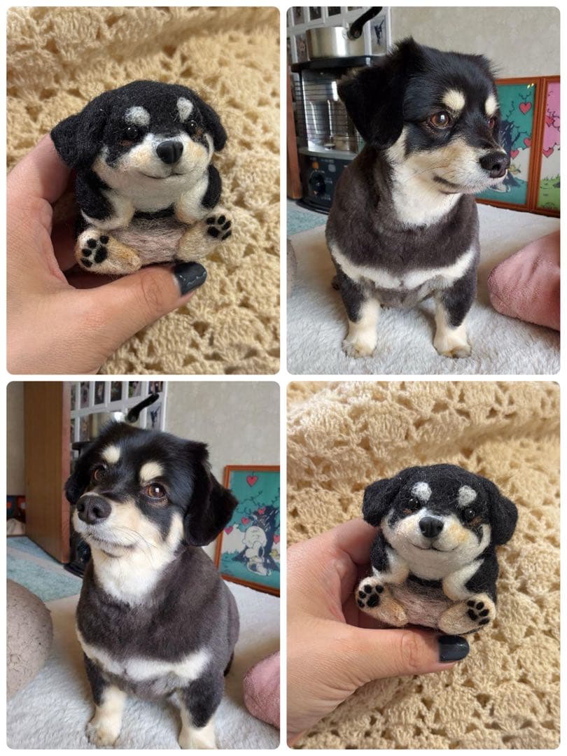 うちの子　まんまるあにまるず　羊毛フェルト　マスコット　ペット　プレゼント