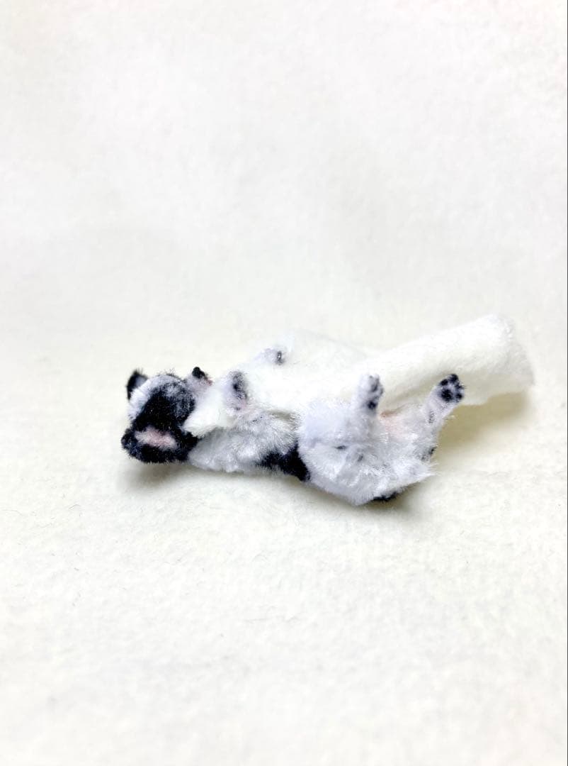 モールアート☆スムースチワワお昼寝☆へそてん