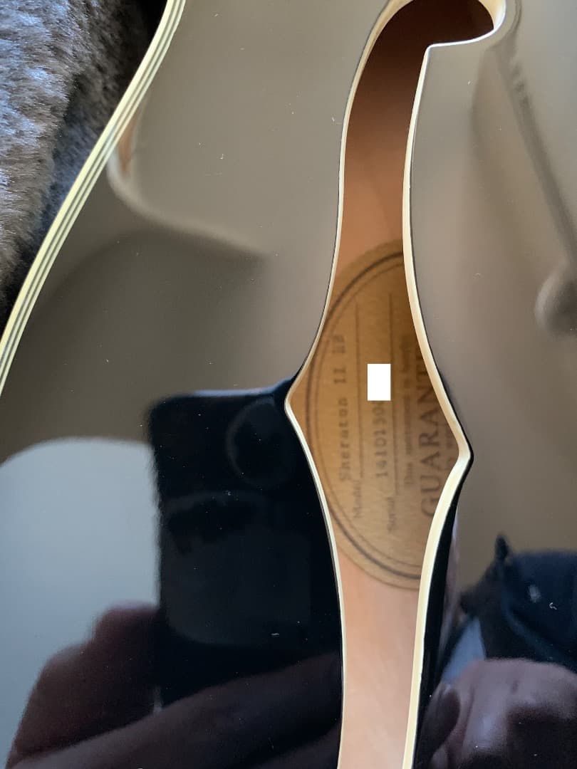 Epiphone Sheraton II EB ハードケース付き