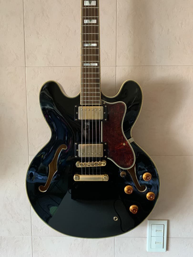 Epiphone Sheraton II EB ハードケース付き