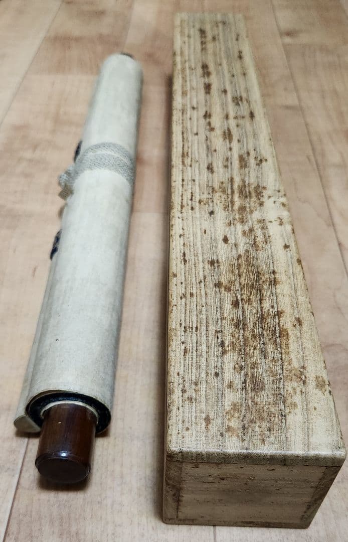 【月下芙蓉に狸図】河村文鳳 2661 フヨウにタヌキ 掛け軸　肉筆