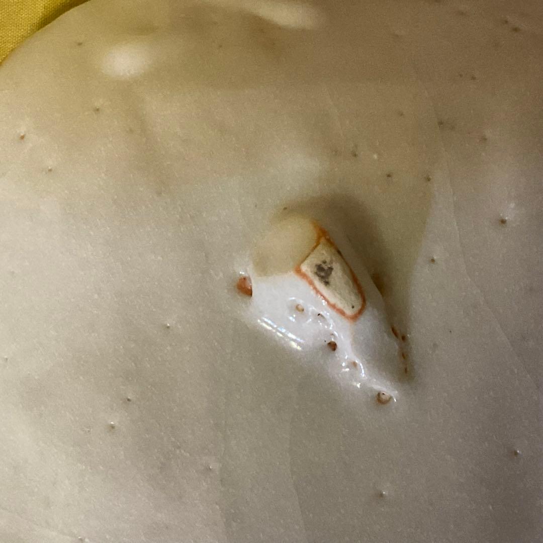 処分価格　重要無形文化財保持者 安藤日出武 鼠志野 大平皿 鶴