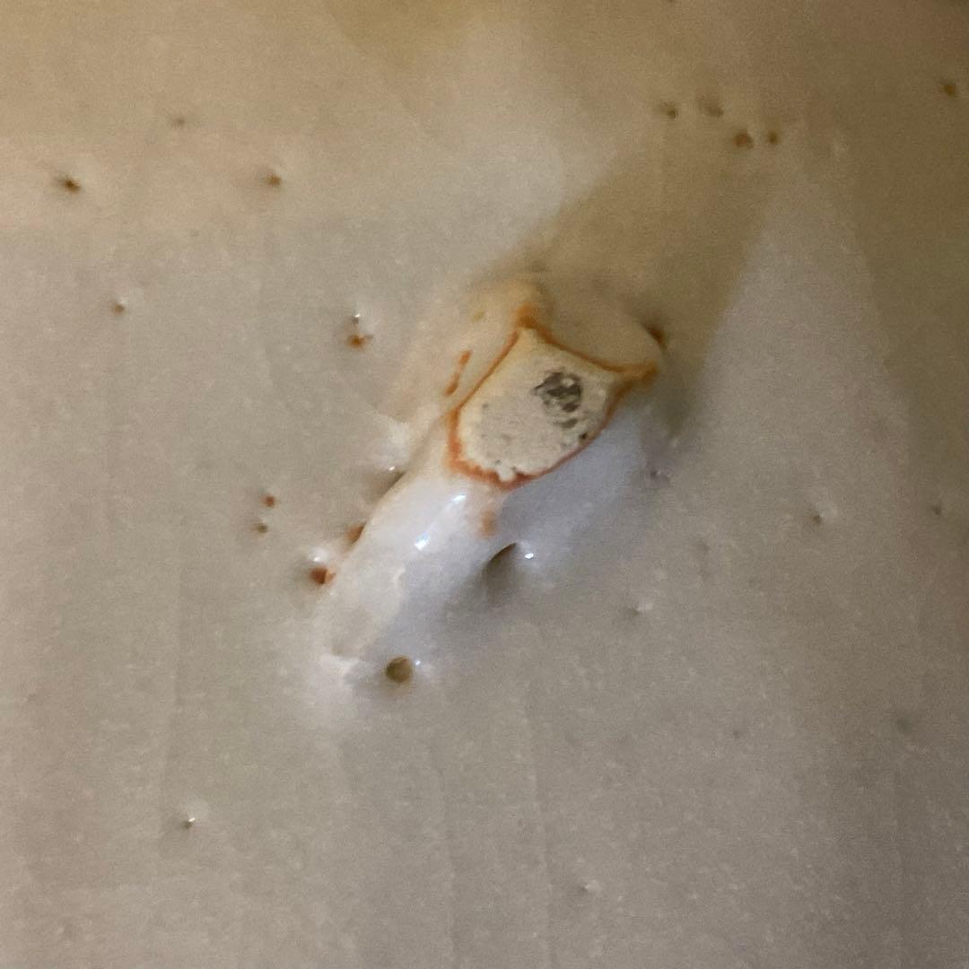 処分価格　重要無形文化財保持者 安藤日出武 鼠志野 大平皿 鶴