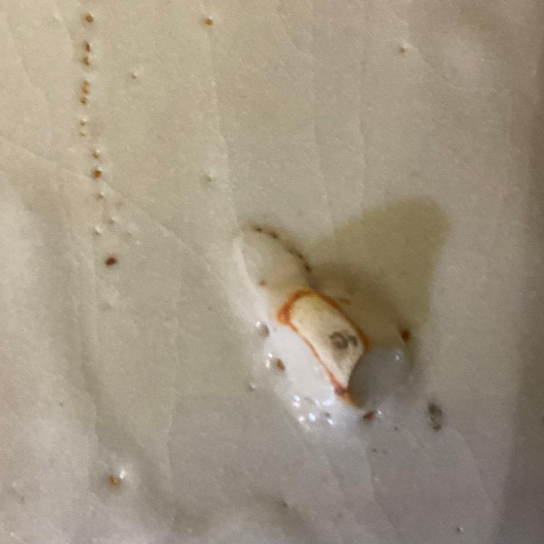 処分価格　重要無形文化財保持者 安藤日出武 鼠志野 大平皿 鶴