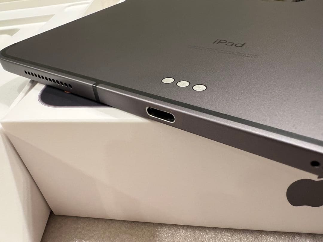 【美品】iPad Pro 11インチ（第2世代）256GB Cellular