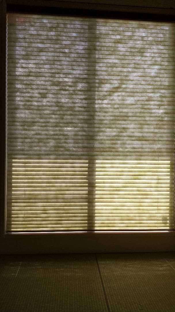 プリーツスクリーン 和紙 グリーン