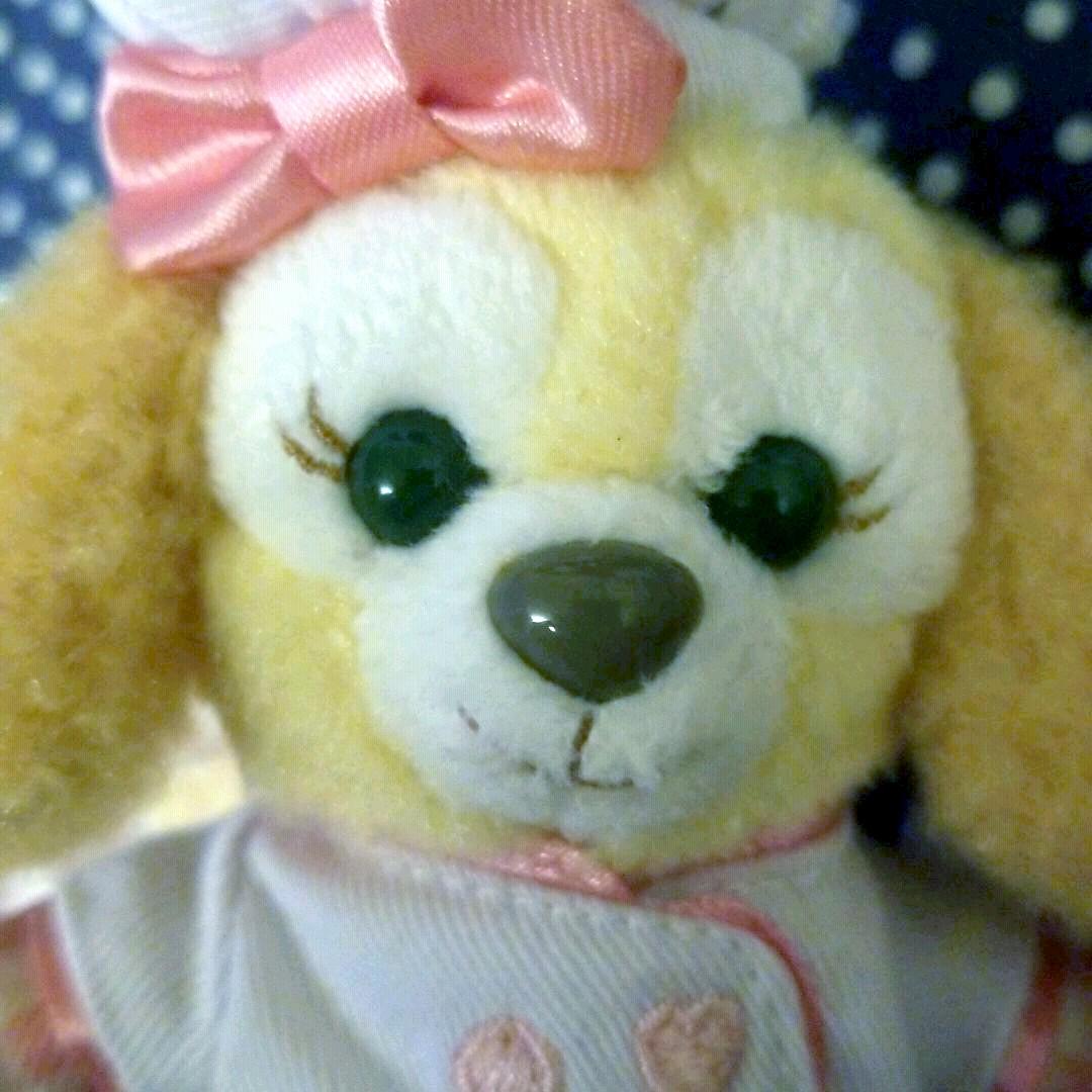 ディズニー公式　クッキーアン　ぬいぐるみバッチ　ストラップ　新品２個組　レア