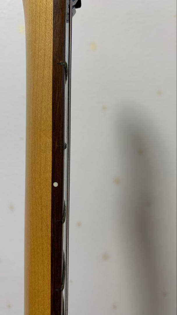 Squier STG-38F by Fender 24フレット希少フロイド