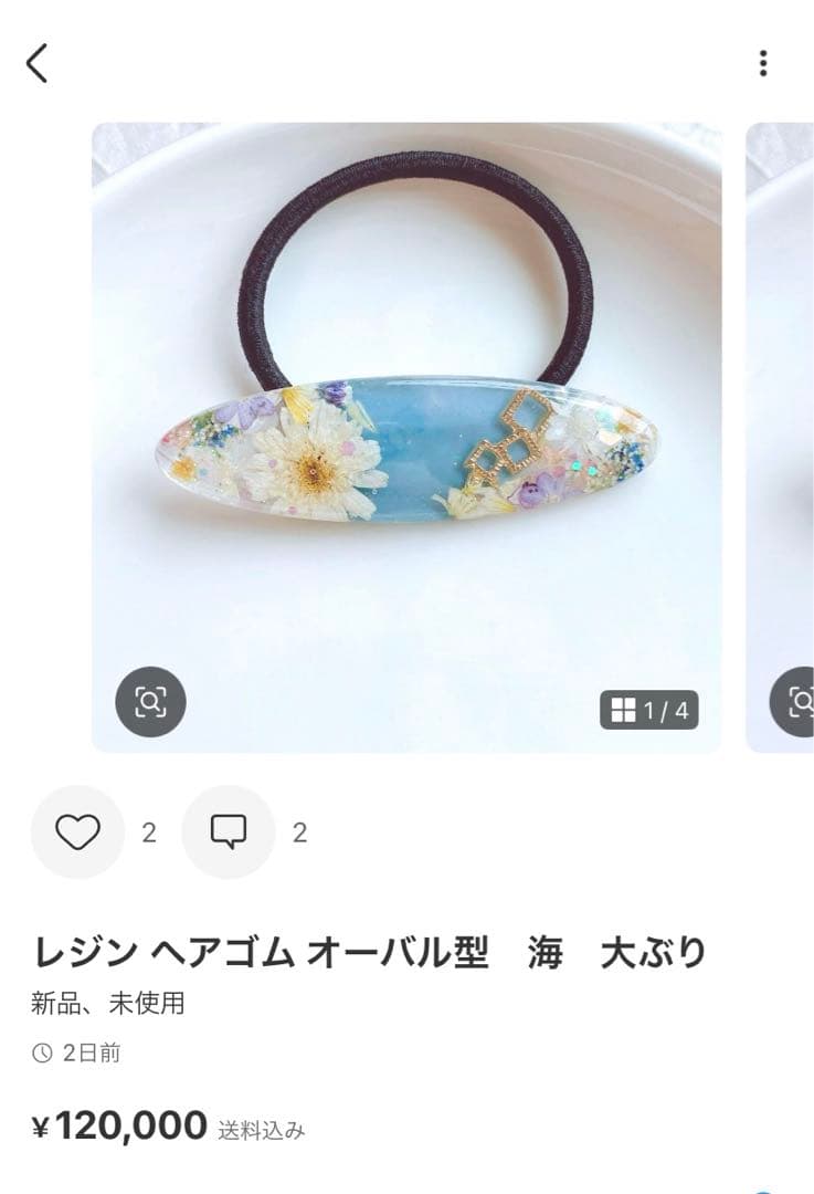 ひまういページ　レジンヘアゴム　6点