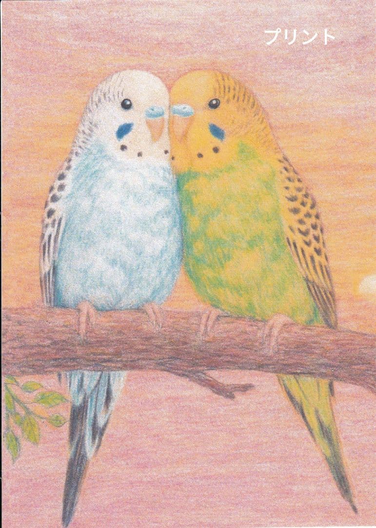 専用…かずちゃんさま