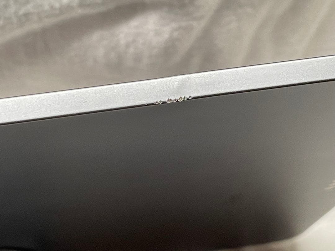 iPad Pro 12.9 A1876 第3世代 256GB バッテリー100%