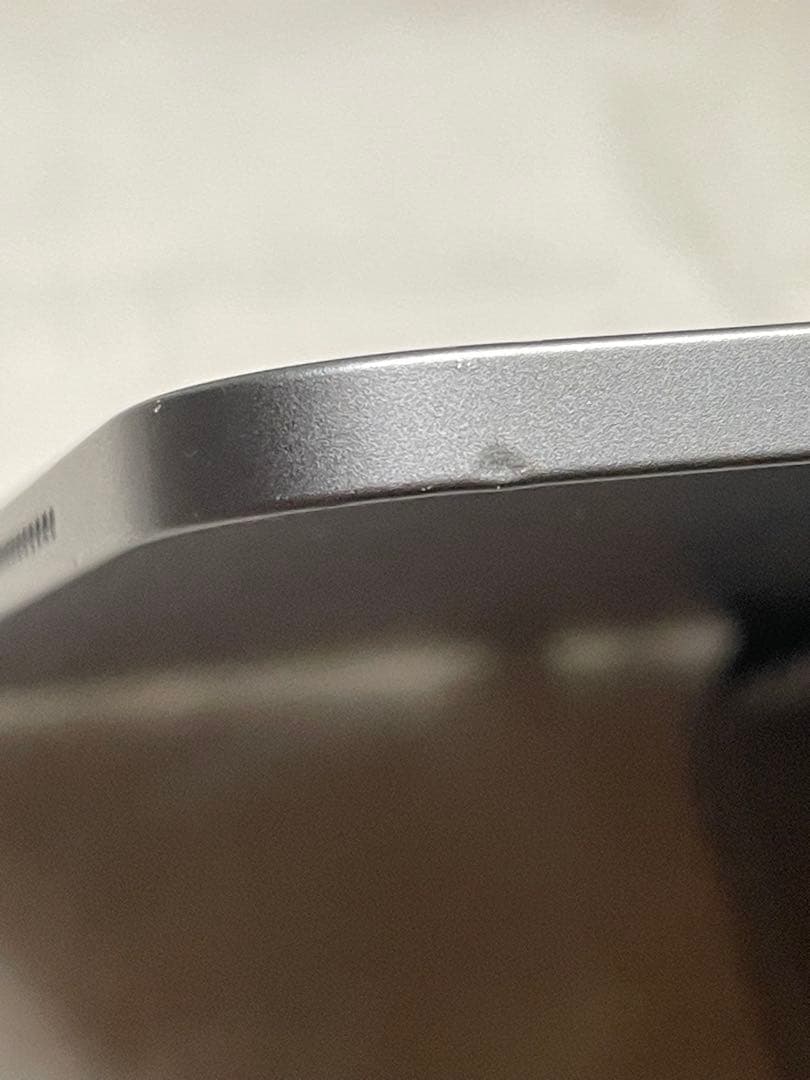iPad Pro 12.9 A1876 第3世代 256GB バッテリー100%