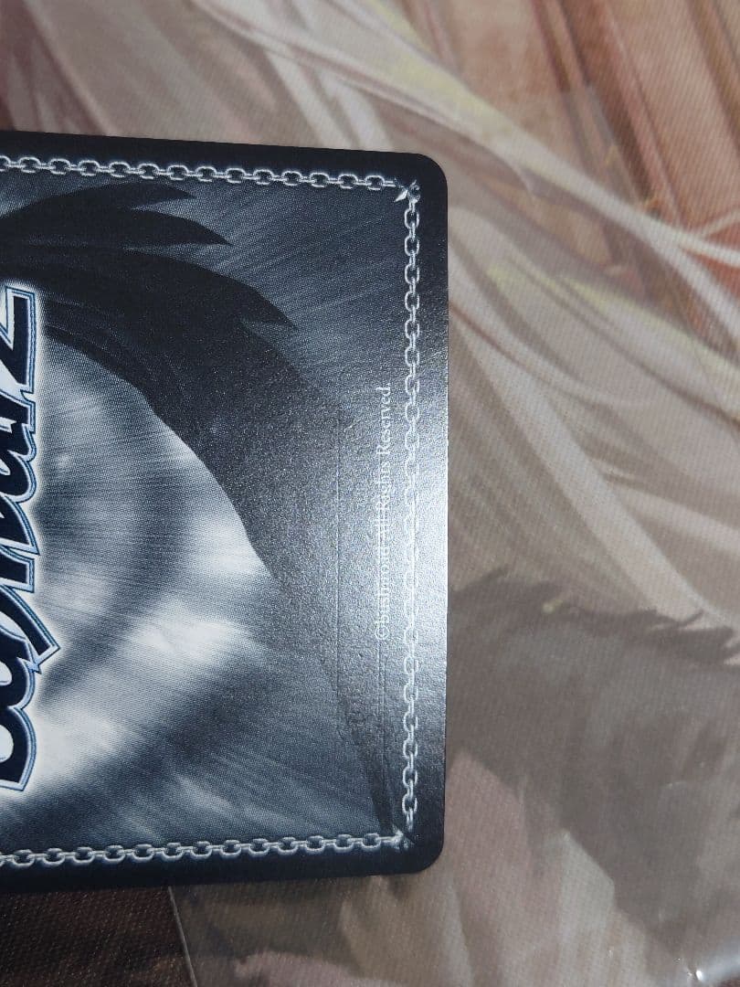 正しくないままで トゲナシトゲアリ SE48-P01EX PR+ 参加賞