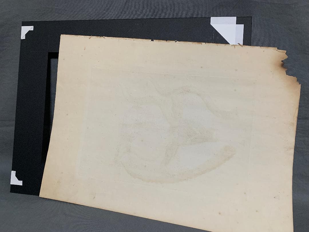 アンティーク　ラインベルガー書『動物図解書の額』　中に燃え跡のある図解書入り