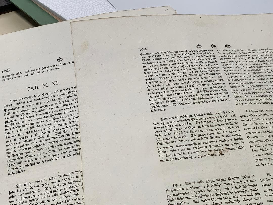 アンティーク　ラインベルガー書『動物図解書の額』　中に燃え跡のある図解書入り