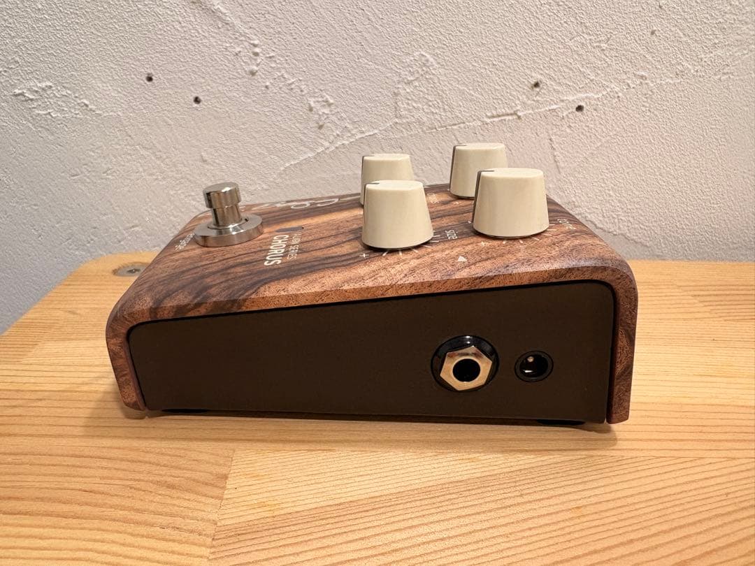 L.R.Baggs エルアールバックス Align Series Chorus