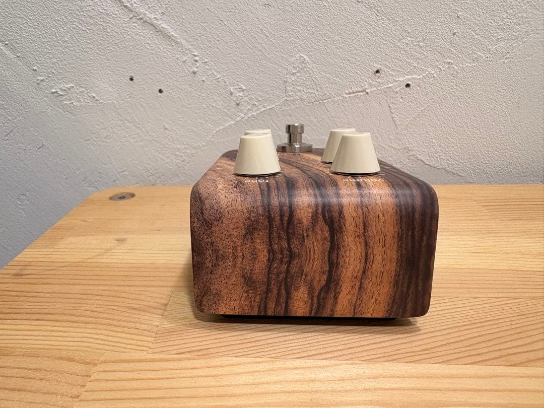 L.R.Baggs エルアールバックス Align Series Chorus