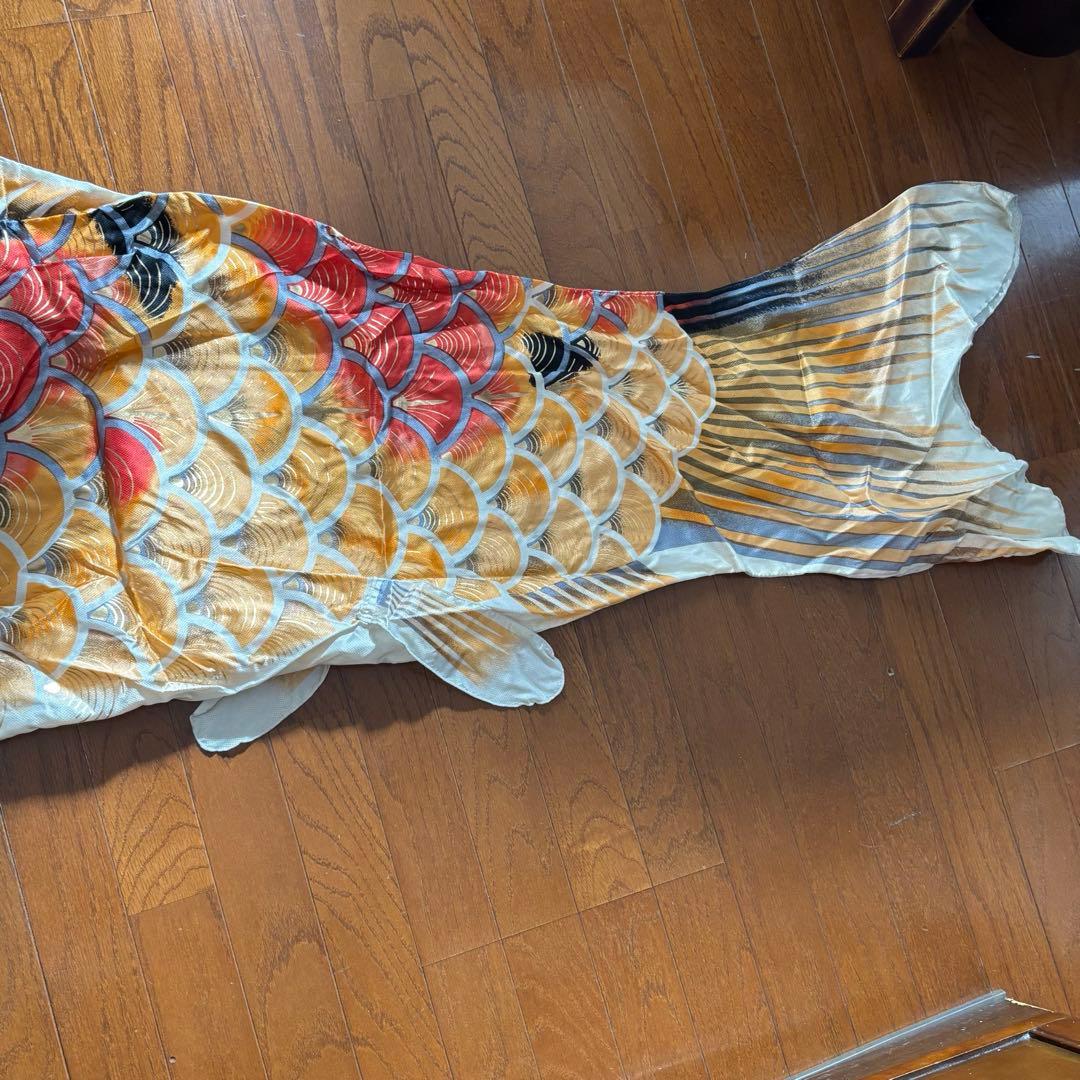 京錦　鯉のぼり 3mサイズ