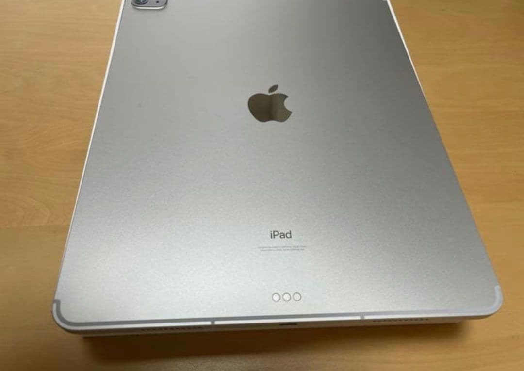 12.9インチiPad Pro Wi-Fi + セルラー 256GB 第5世代