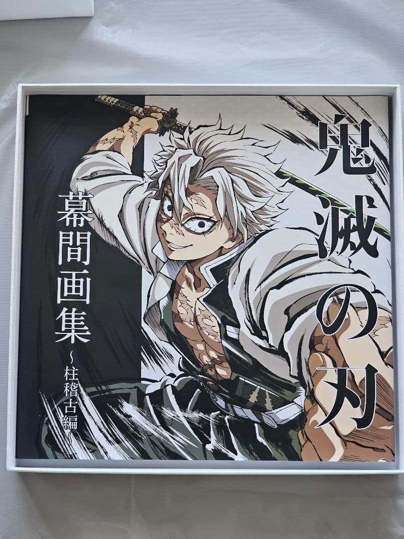 鬼滅の刃 柱稽古編 幕間画集 豪華版 風柱 不死川実弥