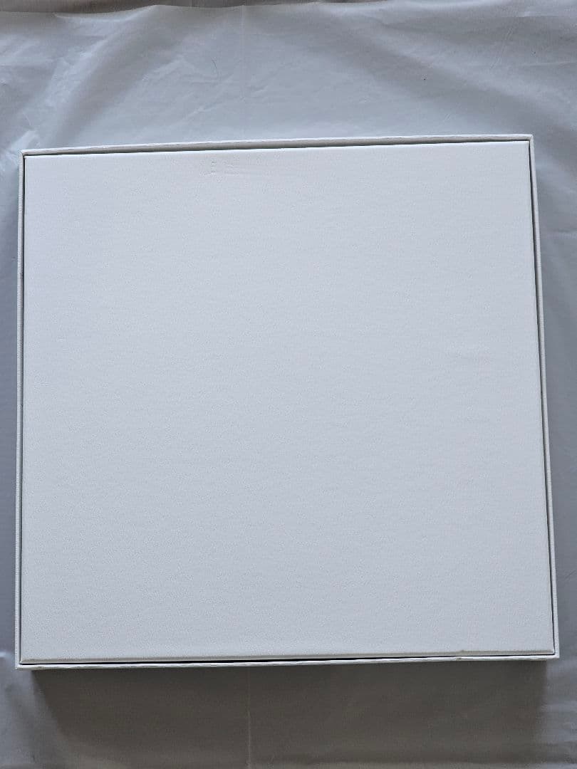 鬼滅の刃 柱稽古編 幕間画集 豪華版 風柱 不死川実弥