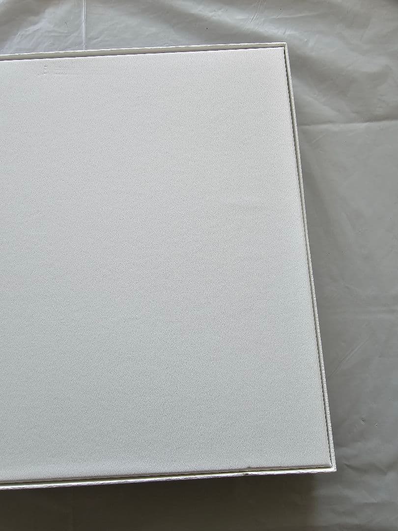 鬼滅の刃 柱稽古編 幕間画集 豪華版 風柱 不死川実弥