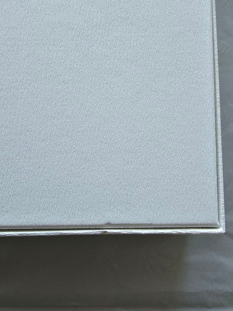 鬼滅の刃 柱稽古編 幕間画集 豪華版 風柱 不死川実弥