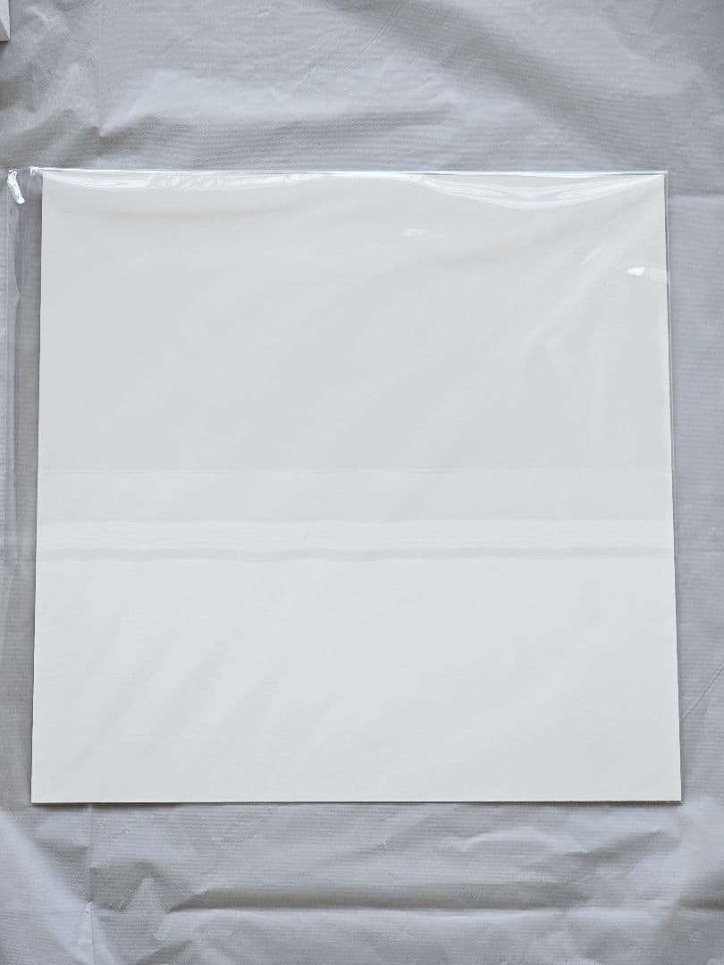 鬼滅の刃 柱稽古編 幕間画集 豪華版 風柱 不死川実弥