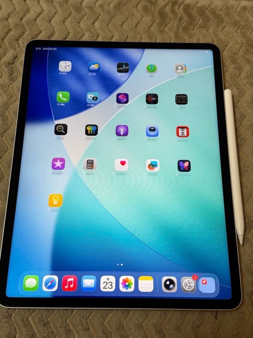 極美品 iPad Pro 12.9インチ 第5世代 128GB 多数おまけ付き