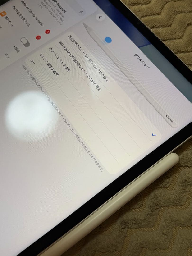 極美品 iPad Pro 12.9インチ 第5世代 128GB 多数おまけ付き