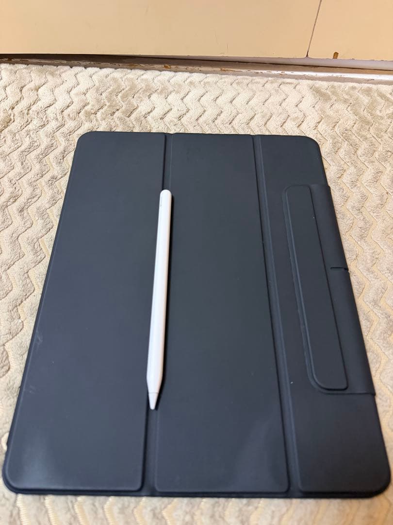 極美品 iPad Pro 12.9インチ 第5世代 128GB 多数おまけ付き