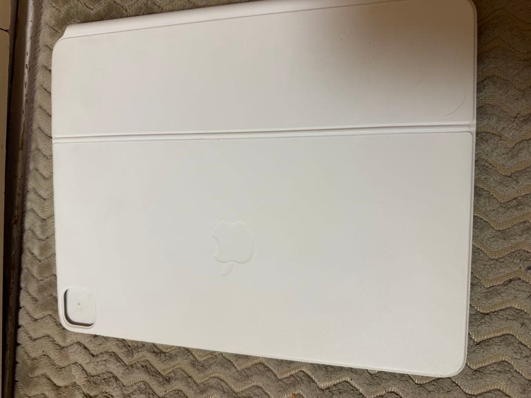 極美品 iPad Pro 12.9インチ 第5世代 128GB 多数おまけ付き