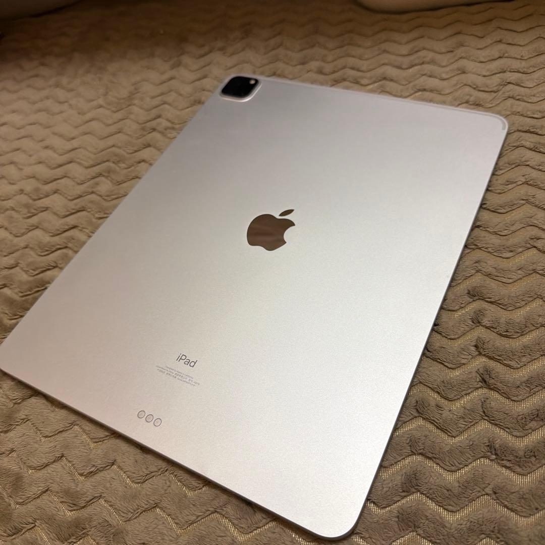 極美品 iPad Pro 12.9インチ 第5世代 128GB 多数おまけ付き