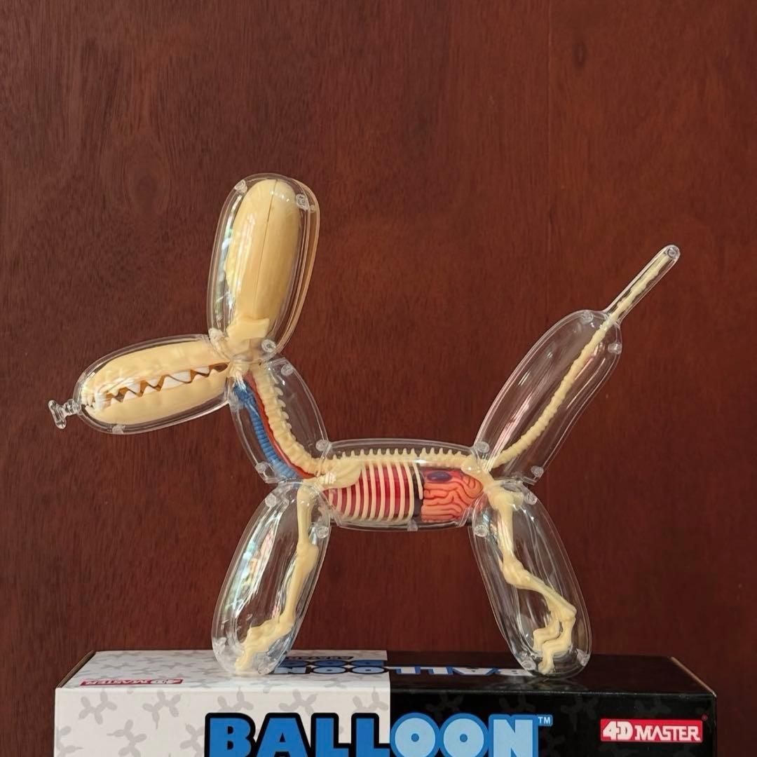 4DMASTER Balloon Dog Anatomy バルーンドッグ