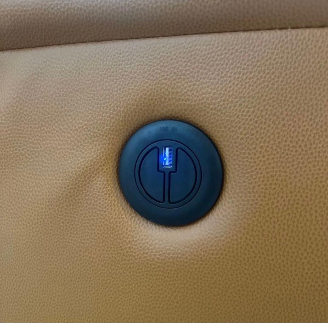 ニトリ リクライニングソファ 1人掛け レザー キャメル 本革 電動