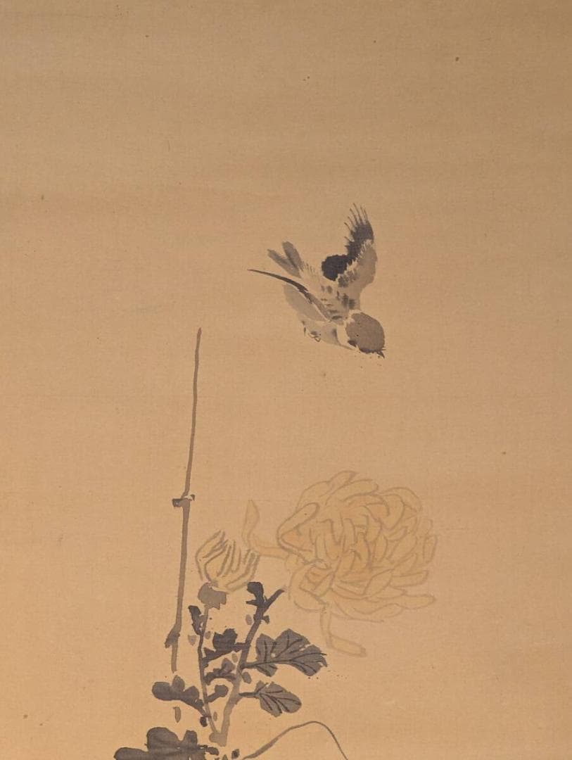 【真作】掛軸　秋草小禽図　菊花に舞う鳥　優美な筆致の花鳥画　V66