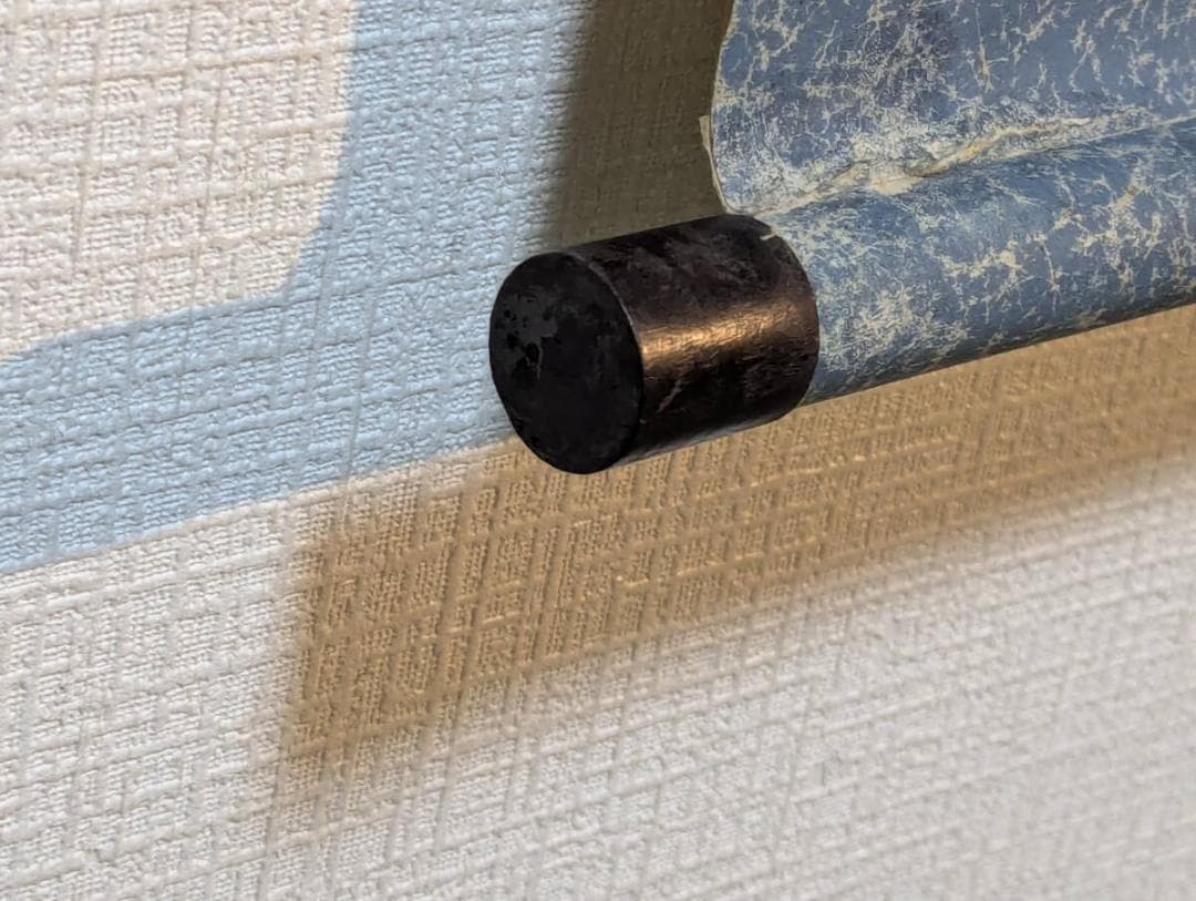 【真作】掛軸　秋草小禽図　菊花に舞う鳥　優美な筆致の花鳥画　V66