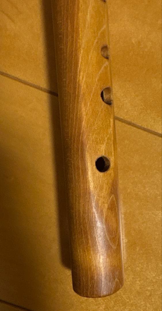 コロイ　ダイアトニック　フルート　シュタイナー