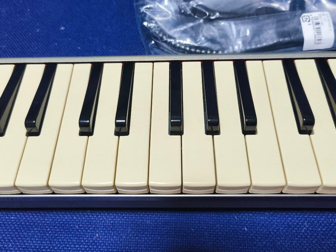 Hammond PRO-44H エレアコ鍵盤ハーモニカ 希少コラボモデル