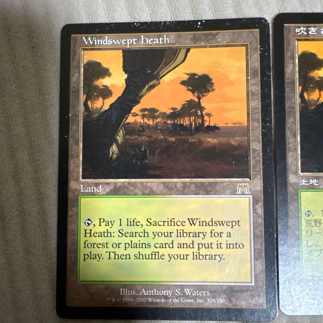 MTG 吹きさらしの荒野 4枚セット